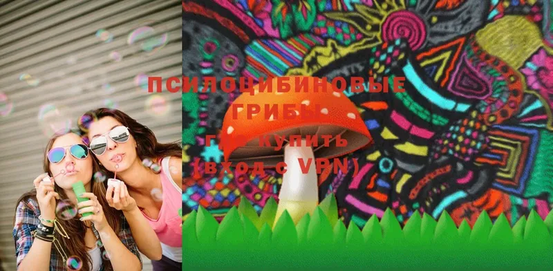 blacksprut зеркало  Старица  Псилоцибиновые грибы Magic Shrooms 